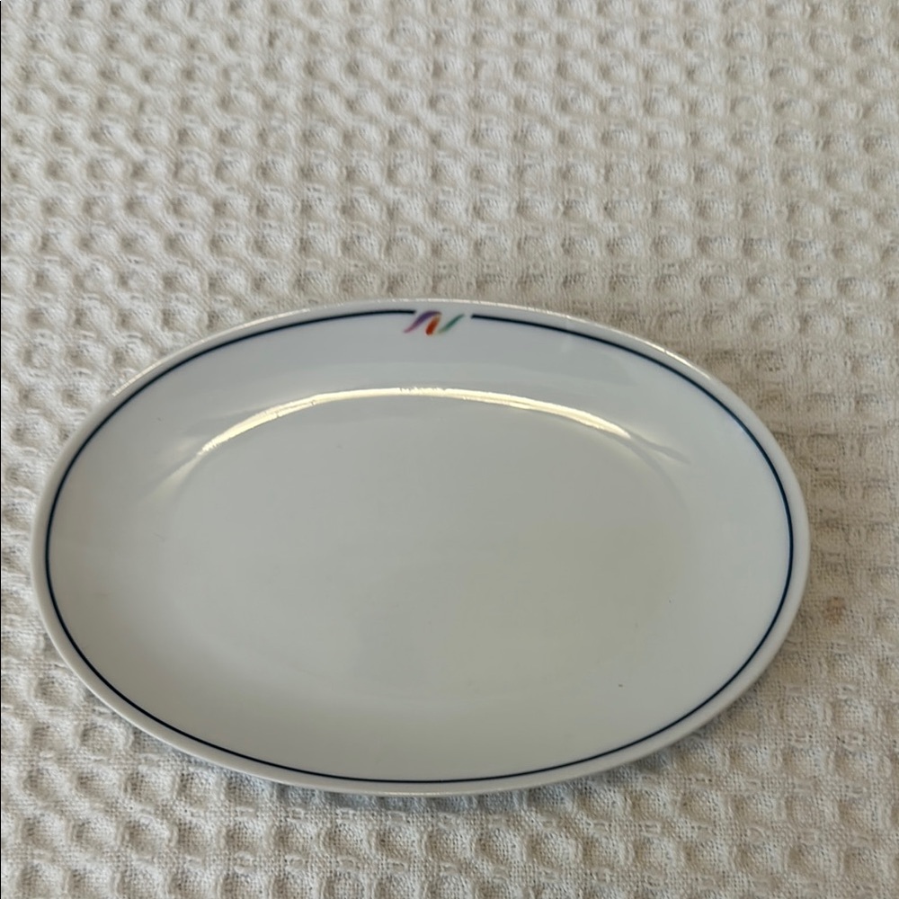 National Airlines dish